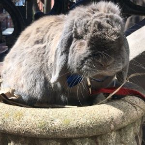 Meet your Posher, Phil